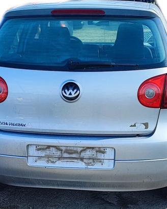 Volkswagen Golf V 1.9 TDI cod. mot. BKC