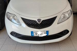 lancia y anno 2019