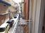 Immagine 9