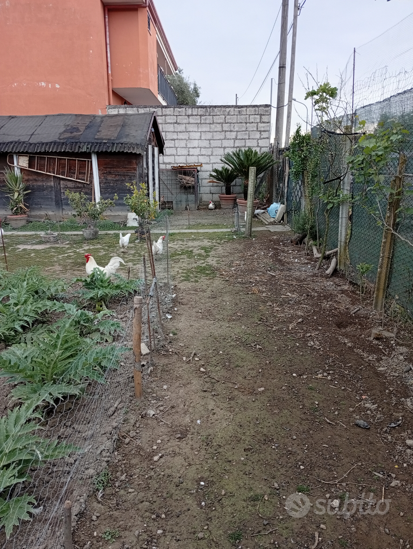 Terreno edificabile - Vista 3