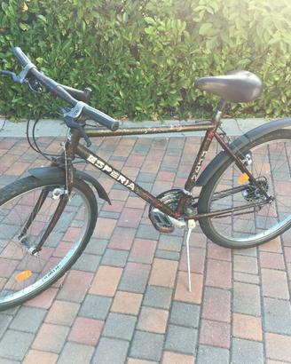 Bici mountain bike