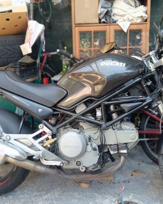 Ducati Monster