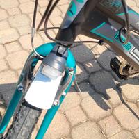 bicicletta ragazza 24" da 9 a 14 anni