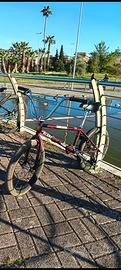bmx ragazzo/adulto blank (leggere la descrizione) 