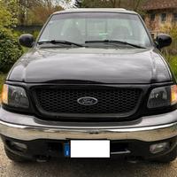 FORD F 150 V8 NO GPL