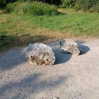 rocce da arredamento 