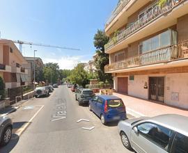Torrevecchia monolocale con giardino privato