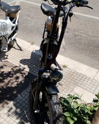 bici elettrica 