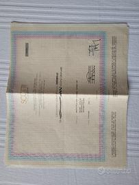 4 certificati azionari