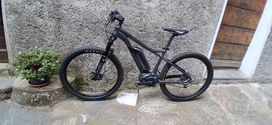 bicicletta elettrica 