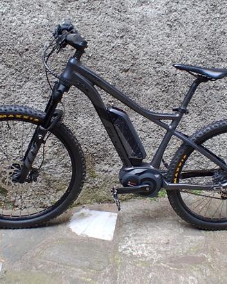 bicicletta elettrica 