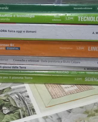 Libri scolastici, scuola superiore istituto Hack