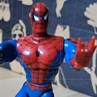 Spiderman/Action Figure