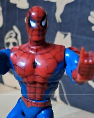 Spiderman/Action Figure