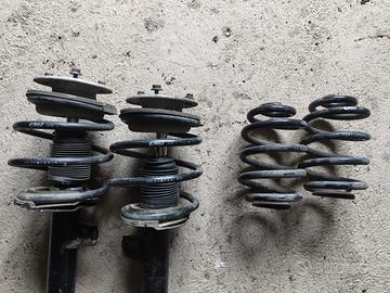 Molle eibach pro kit e46