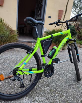 Bici MTB