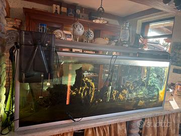 Acquario 600 litri