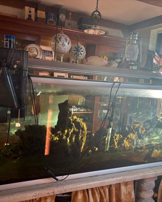 Acquario 600 litri