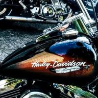 Carrozzeria Harley-davidson softail custom 1340
