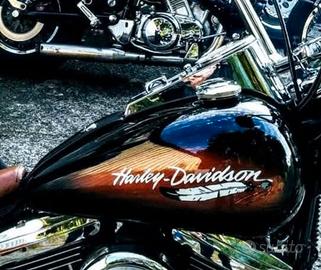 Carrozzeria Harley-davidson softail custom 1340