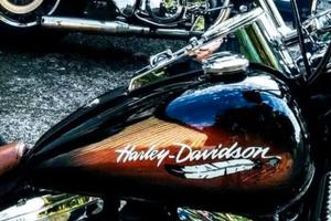 Carrozzeria Harley-davidson softail custom 1340