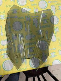 Cupolino BMW R 1250 RS