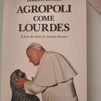 Libro di narrativa Agropoli come Lourdes 