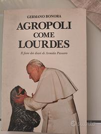 Libro di narrativa Agropoli come Lourdes 