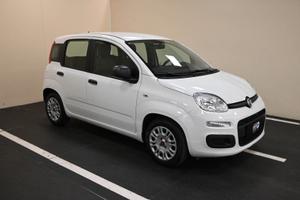 FIAT Panda 3ª serie Panda 1.0 FireFly S&S Hybrid