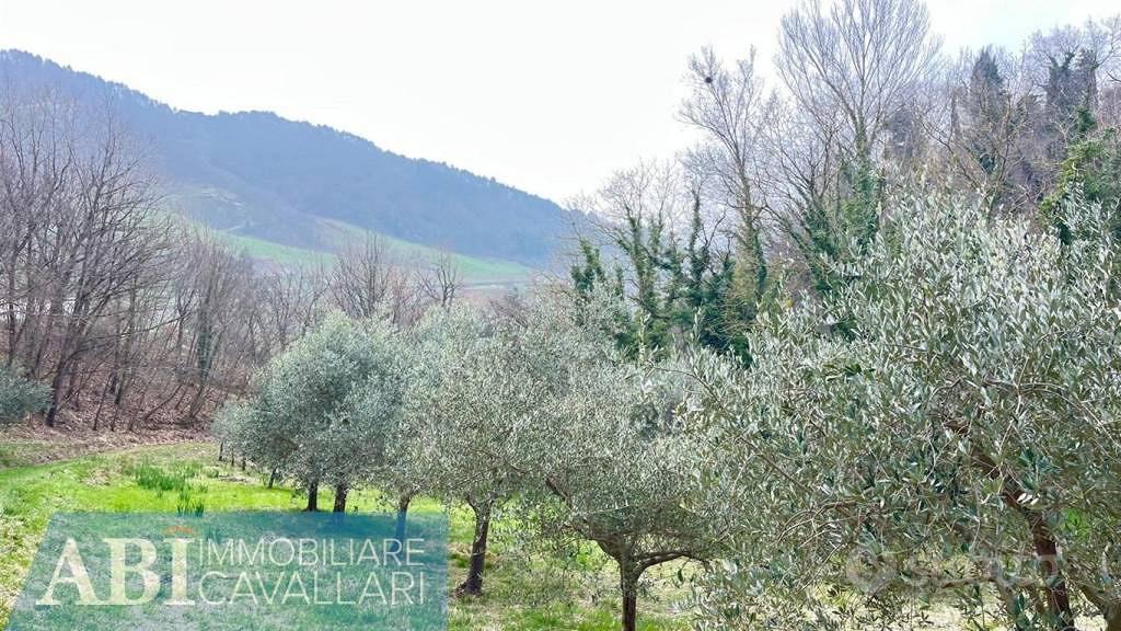Rustico / Casale di 270 m² con più di 5 locali e b - Altro