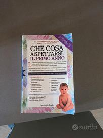 Che cosa aspettarsi il primo anno 