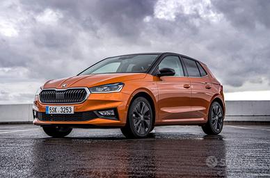 ricambi usati skoda fabia e kamiq dal 2014 al 2025