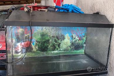 Acquario con supporto LED e immagine