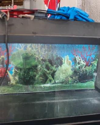 Acquario con supporto LED e immagine