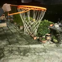 Cesto basket