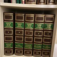 Gedea Arte Grandi monografie