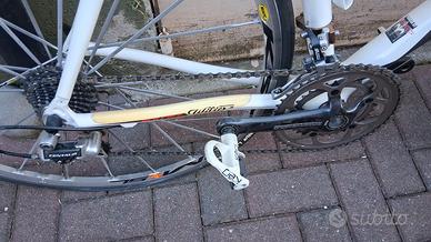 Bici da corsa Wilier