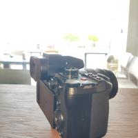 Panasonic Lumix g9 ii
