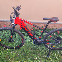 Ebike mtb mtf