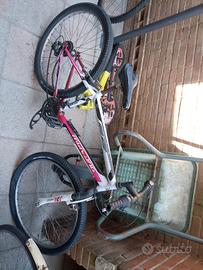 Bicicletta