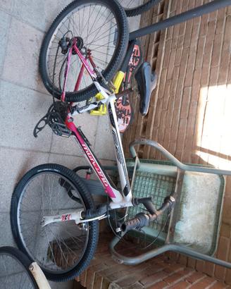 Bicicletta