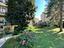 Immagine 19