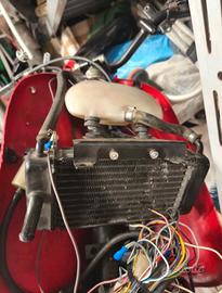 Radiatore e vaschetta piaggio