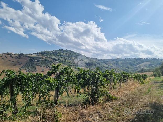 TER. AGRICOLO A CELLINO ATTANASIO