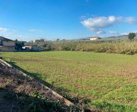 Terreno agricolo pianeggiante - loc. Mattinelle