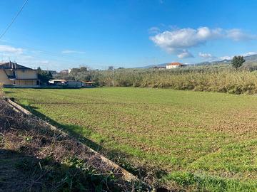 Terreno agricolo pianeggiante - loc. Mattinelle