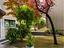 Immagine 22