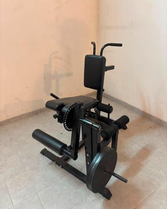 LEG EXTENSION / LEG CURL 2 IN 1 – PROFESSIONALE