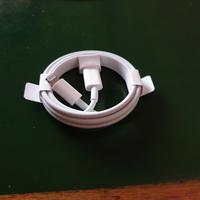 APPLE Cavo da USB C a Lightning