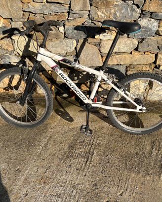 Bicicletta